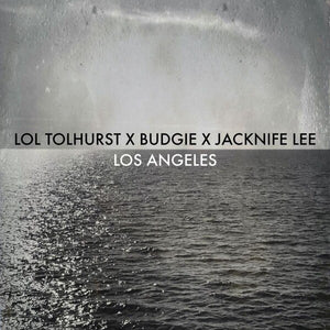 Los Angeles: il disco della redenzione per Lol Tolhurst e Budgie
