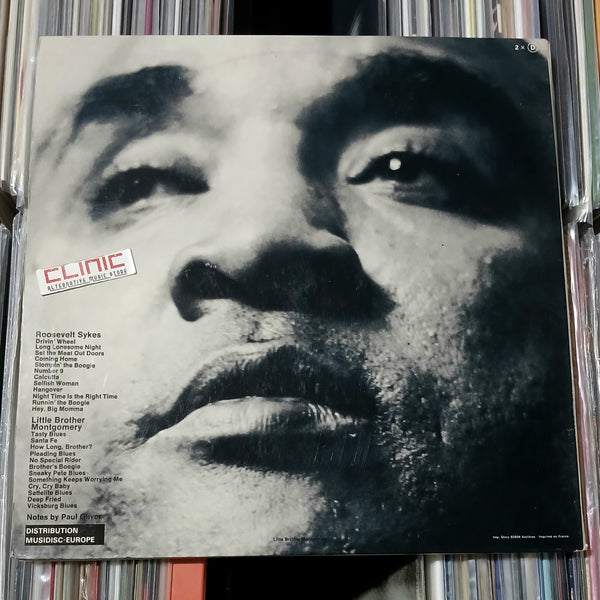 LP - ROOSEVELT SYKES & LITTLE BROTHER MONTGOMERY - URBAN BLUES (usato)