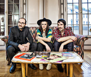 Eccoli...gli album dei Baustelle! Finalmente ristampati in vinile.