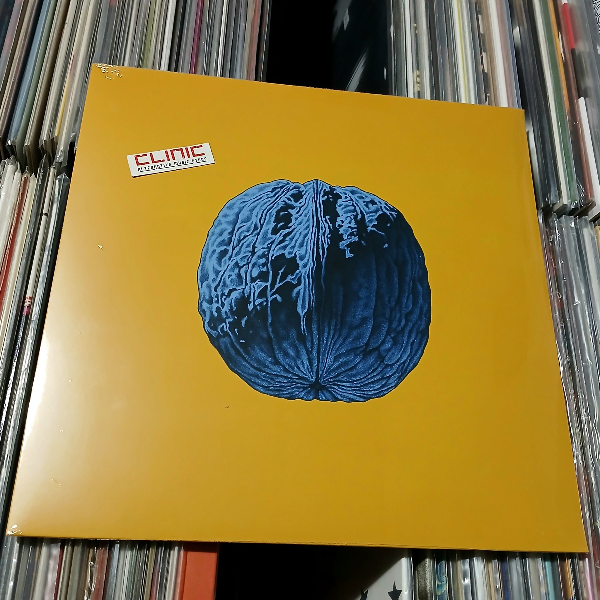 LP - BRUNORI SAS - L'ALBERO DELLE NOCI
