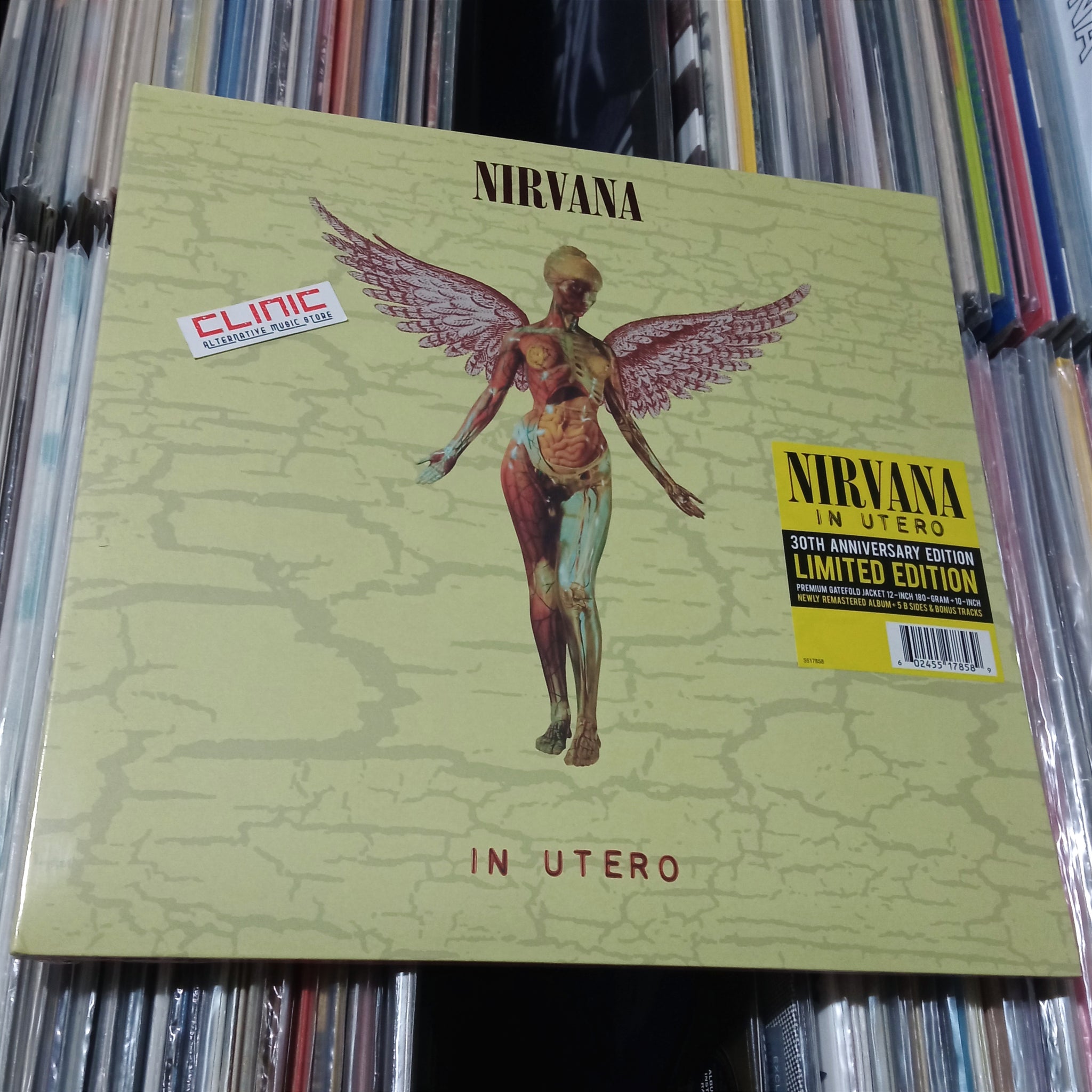 LP/10" - NIRVANA - IN UTERO (30th Anniversary Edition)