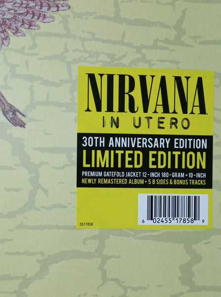 LP/10" - NIRVANA - IN UTERO (30th Anniversary Edition)
