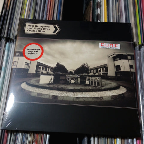 LP/ 7" - NOEL GALLAGHER'S HIGH FLYING BIRDS - COUNCIL SKIES
