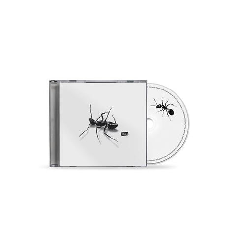 CD - GAZZELLE - INDI