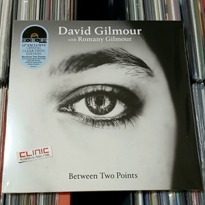 12" - DAVID GILMOUR - BETWEEN TWO POINTS - Record Store Day