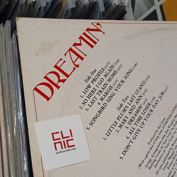 LP - LIVERPOOL EXPRESS - DREAMIN' (usato)