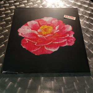LP - POST MALONE - TRIBUTE TO NIRVANA - Record Store Day