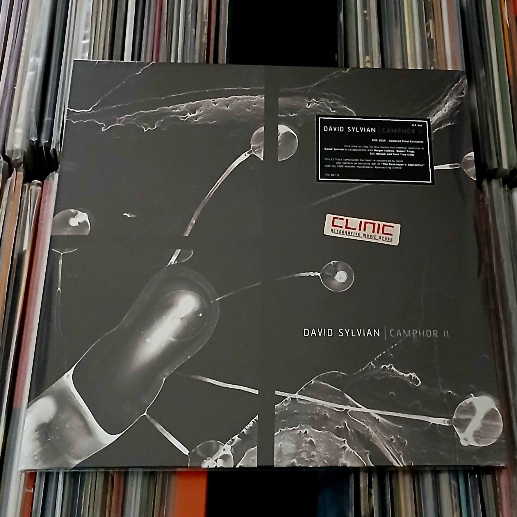 LP - DAVID SYLVIAN - CAMPHOR II (Record Store Day)