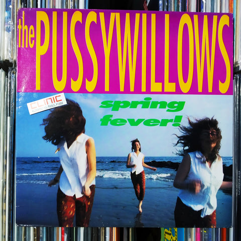 LP - THE PUSSYWILLOWS - SPRING FEVER! (usato)