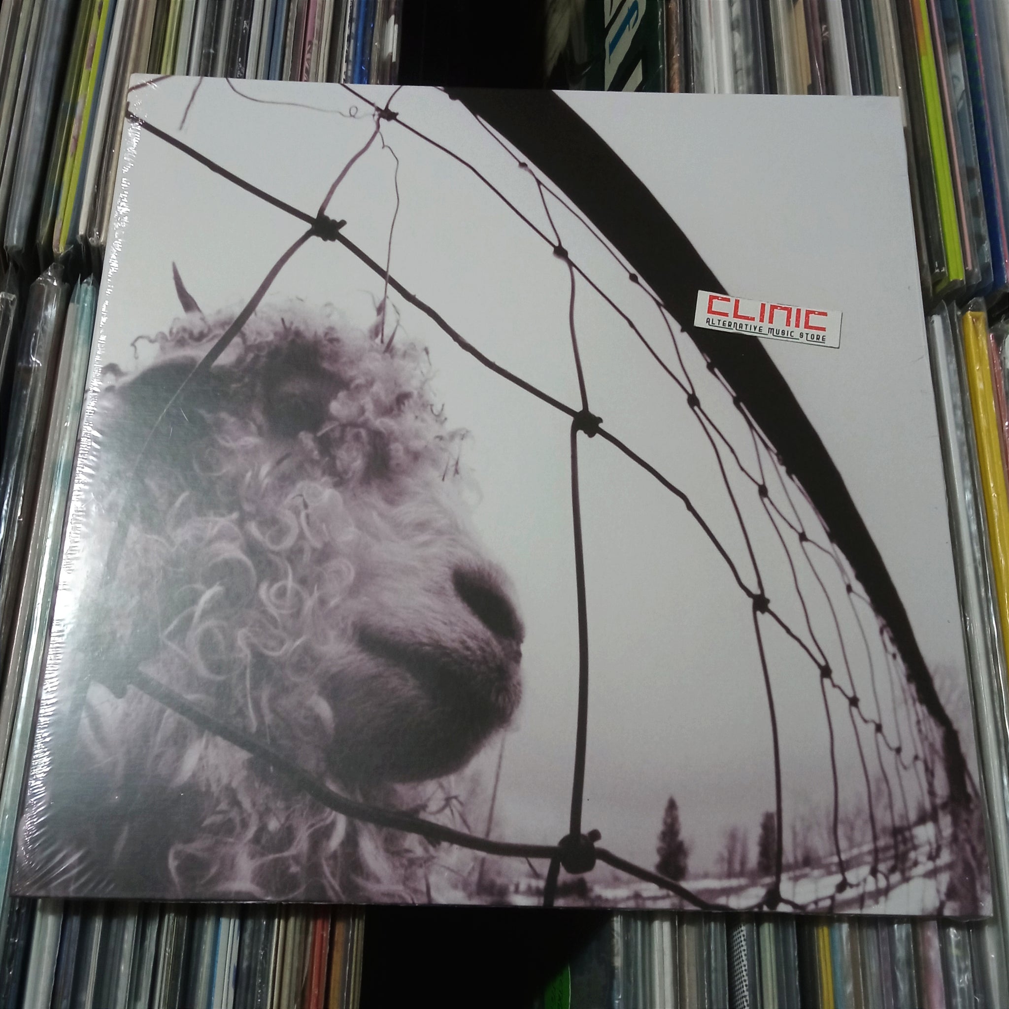 LP - PEARL JAM - VS