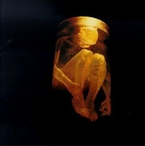 CD - ALICE IN CHAINS - NOTHING SAFE: BEST OF THE BOX